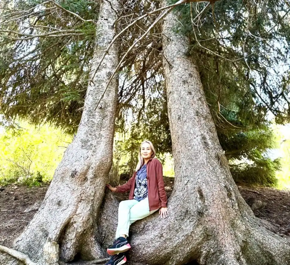 Turnaland Guide-Interpreter